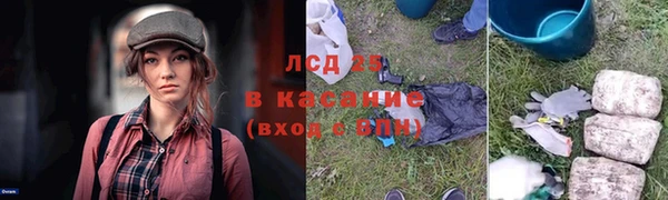 СК Аркадак