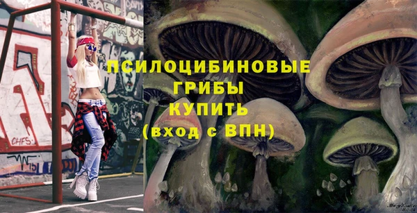 соль курить ск Армянск
