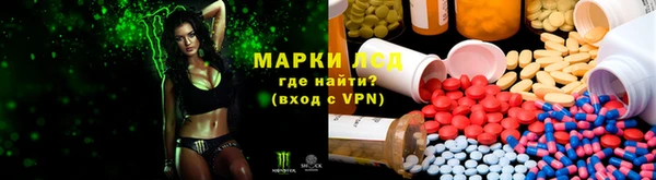 СК Аркадак