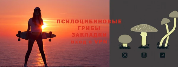 СК Аркадак