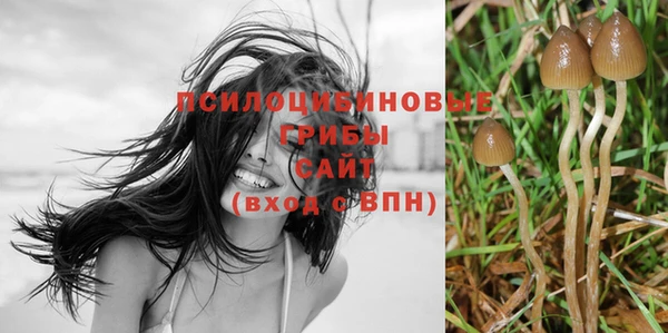СК Аркадак