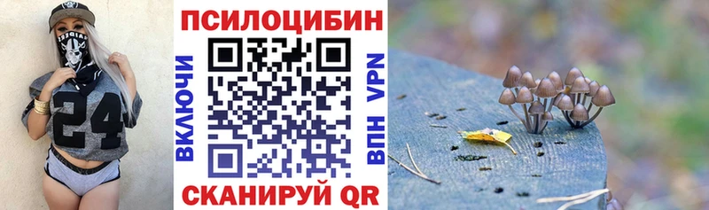 Псилоцибиновые грибы Cubensis  хочу наркоту  Чёрмоз 